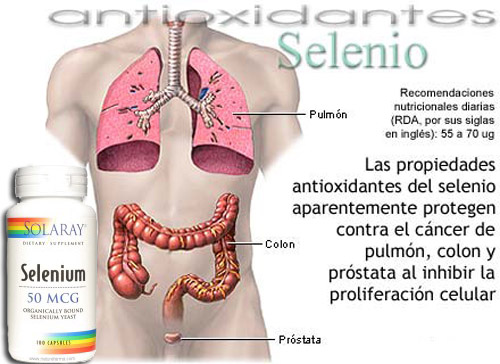 El Selenio Y Sus Beneficios 9795