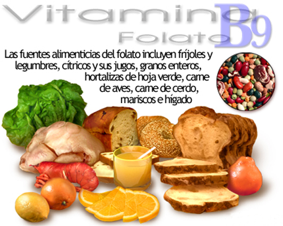 La Vitamina B9 Y Su Influencia En La Salud 9665