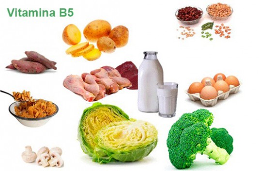 Vitamina B5 En El Deporte Y La Salud En General