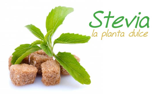 Stevia edulcorante