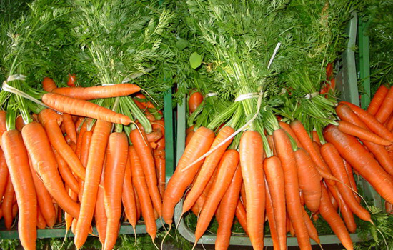 3 beneficios zanahoria que debes conocer