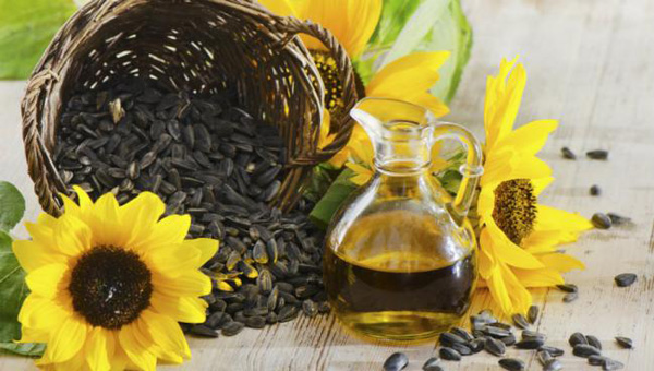 Aceite de girasol: beneficios en la salud