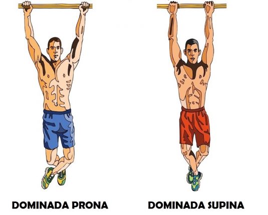 Diferencias entre el agarre de pronación y supinación